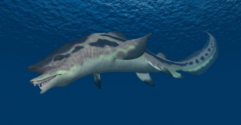   Rykliai, kurie išnyko – Edestas