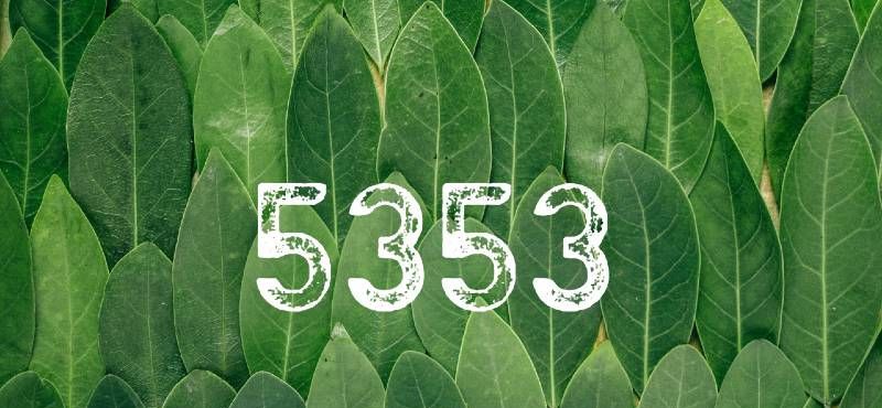 Número do anjo 5353: 3 Significados espirituais de ver 5353
