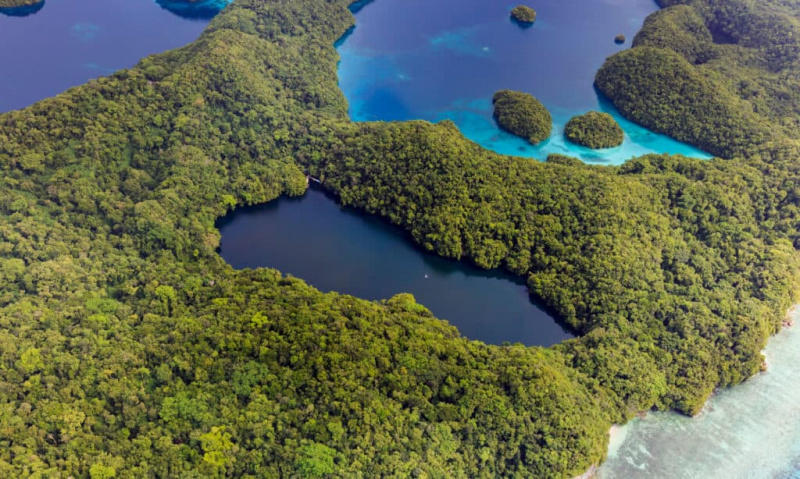   Jezero meduz, Palau