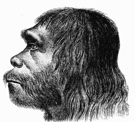 Neandertalca