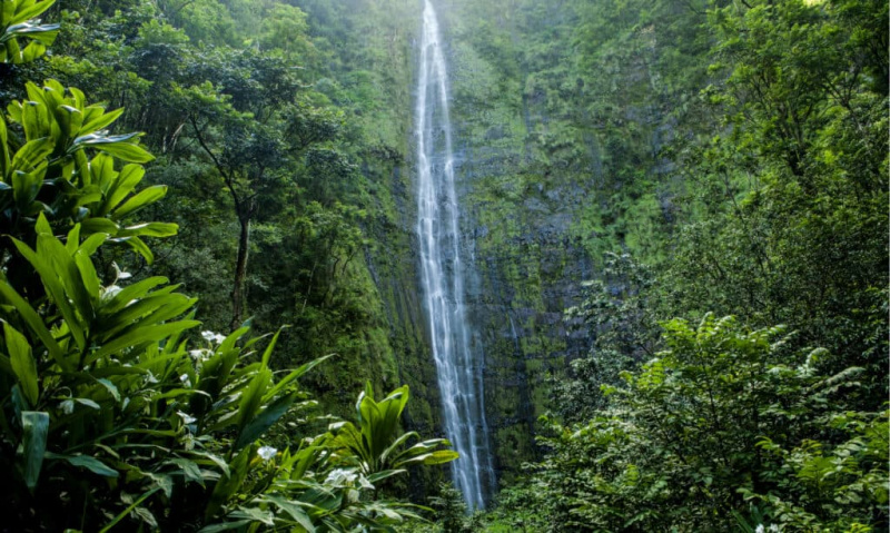   Haleakala nationalpark i Maui