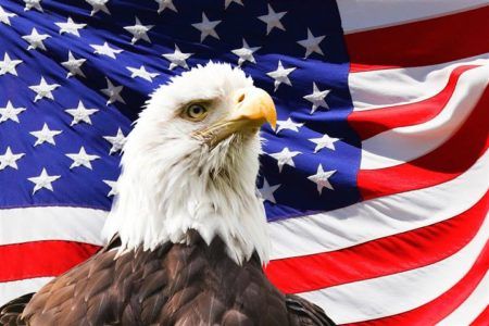 Интересные факты о белоголовом орлане на День американского орла
