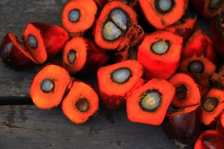 Das Problem mit Palmöl