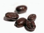 Strata plodiny kávy Arabica