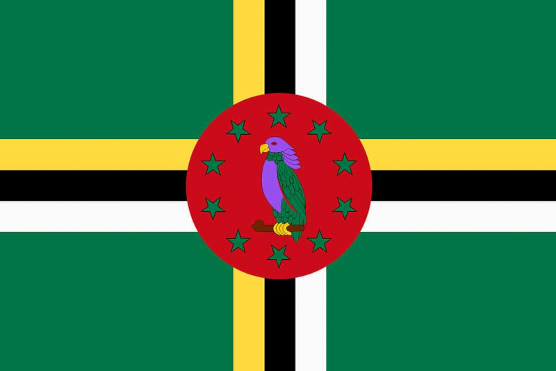   Ilustrasi latar belakang bendera Dominica hijau kuning hitam merah sisserou nuri