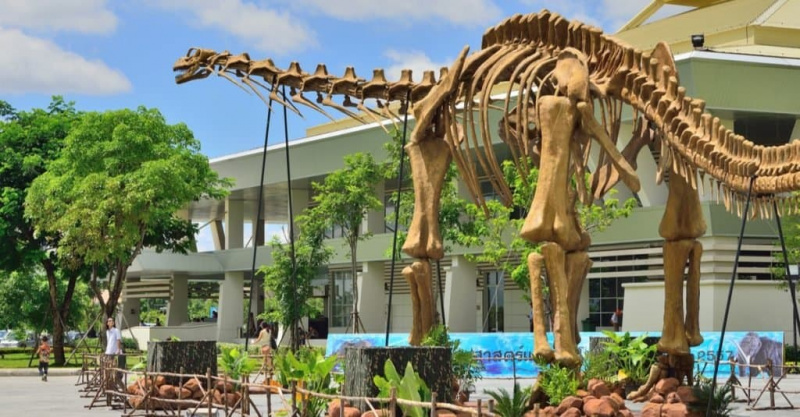  Didžiausi dinozaurai: Argentinosaurus huinculensis