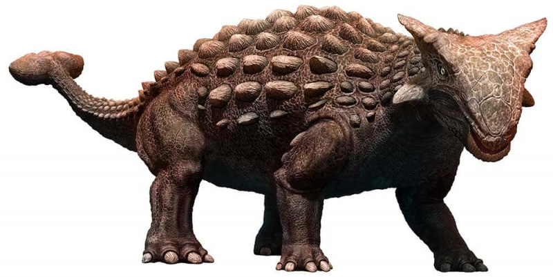   ankylosaurus-khủng long-tuyệt chủng-1000