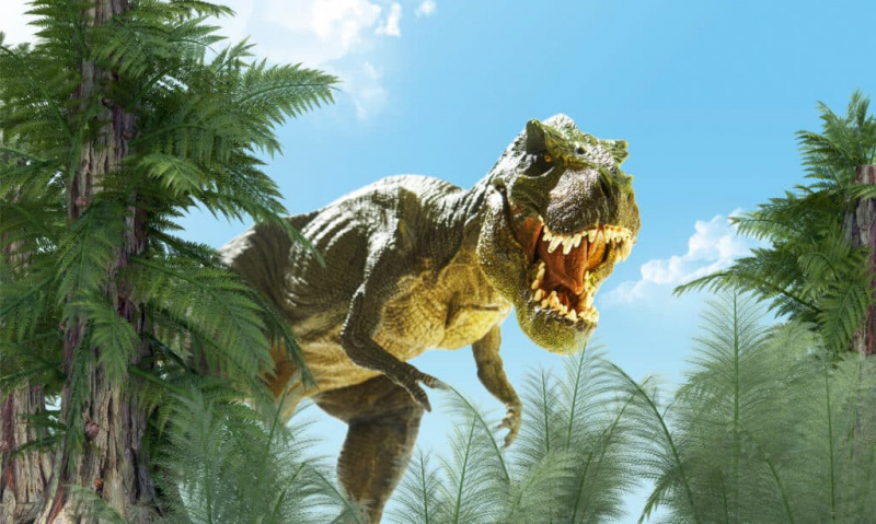   3D-rendering av en T-rex i en skog av palmliknande träd