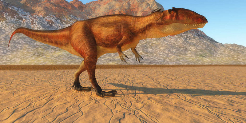   Carcharodontosaurus dinozauras