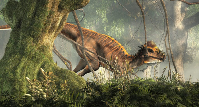   Pachycephalosaurus dinozauras