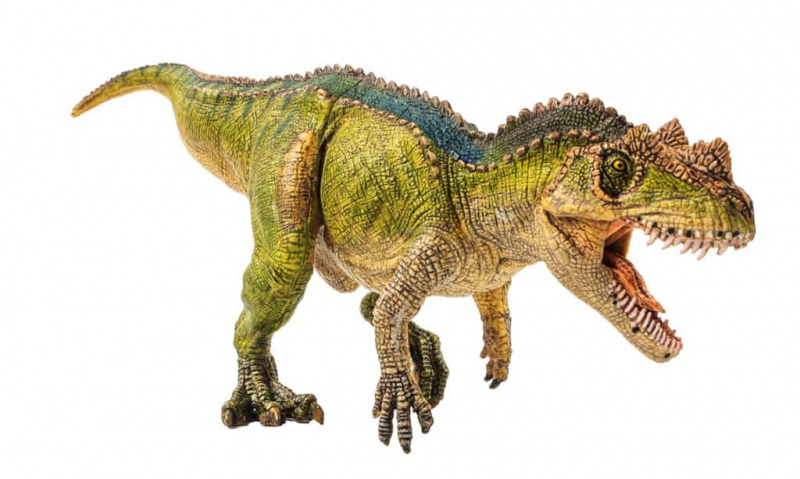   3D-Rendering von Ceratosaurus auf weißem Hintergrund