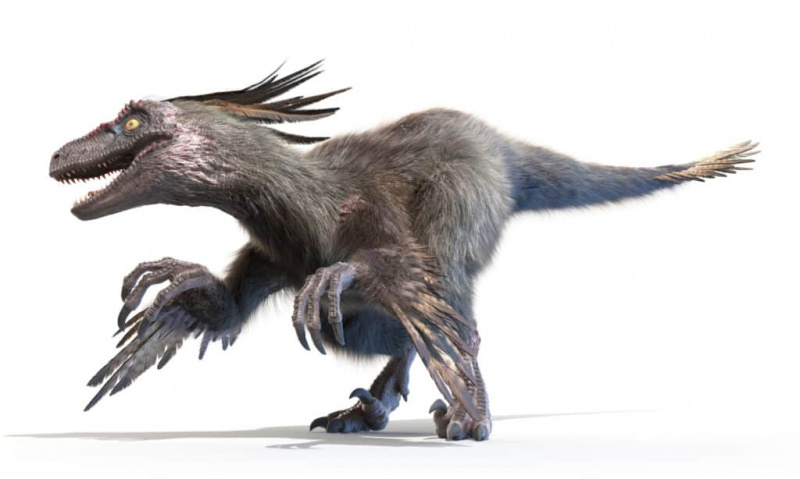   Velociraptor 3D-Darstellung auf weißem Hintergrund