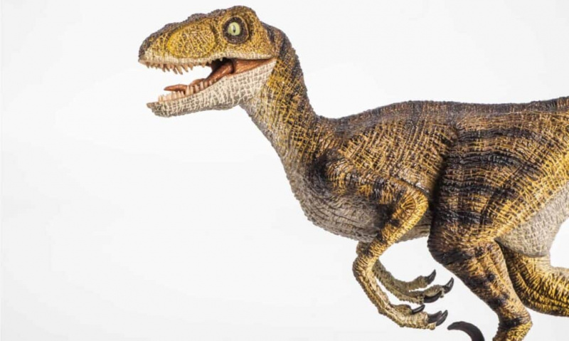   velociraptor đấu với indominus rex