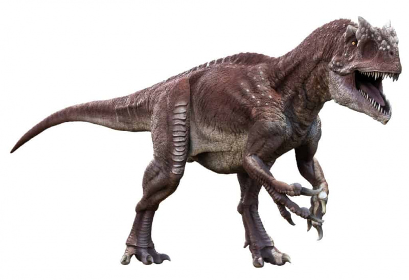   Nakahiwalay ang Allosaurus sa puting background.