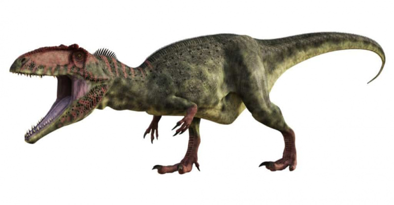   T Rex contre Gigantosaurus