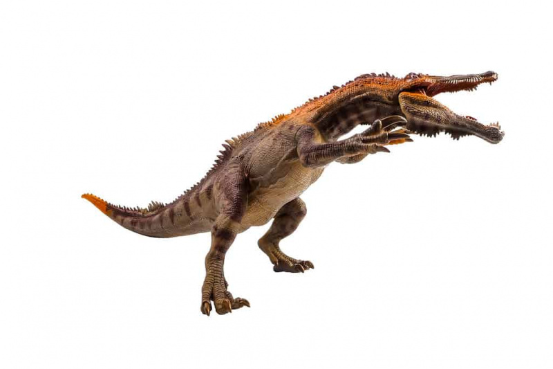   Baryonyx, dinozaver na belem ozadju.