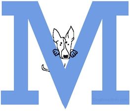 Keturunan Anjing A hingga Z, - Keturunan yang diawali dengan huruf M
