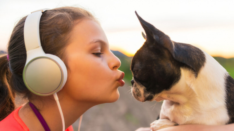   Menina beijando seu cachorro - boston terrier - e ouvindo música