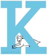 Keturunan Anjing A hingga Z, - Keturunan yang diawali dengan huruf K