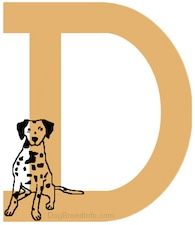 Hondenrassen A tot Z, - Rassen die beginnen met de letter D