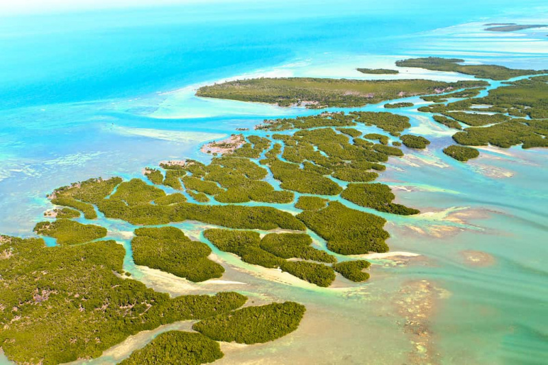   Die Florida Keys sind tief liegende Inseln in seichten Gewässern