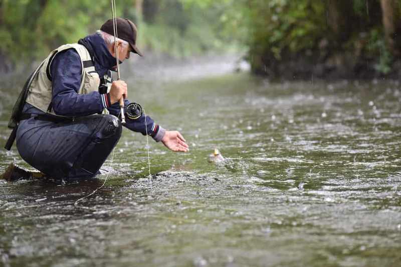   Pescador com mosca pegando truta no rio, sob a chuva