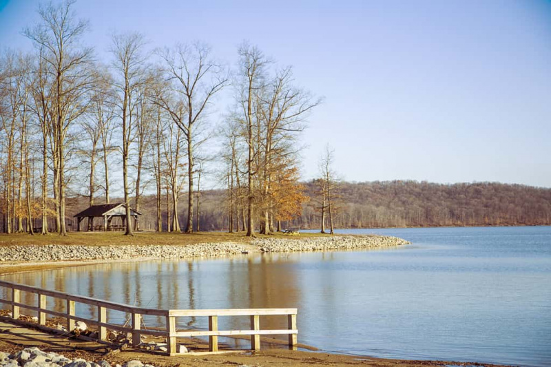   Primavera in erba al lago Monroe IN