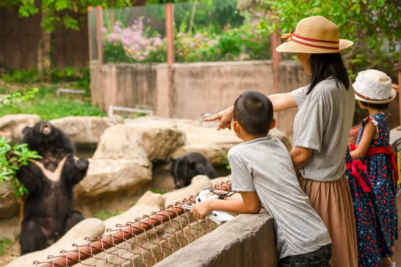   Азијска породична деца уче на отвореном на летњем распусту, мајка брат и сестре траже медведа за храњење у зоолошком врту, дечак држи телескоп, оловку и свеску за писање знања
