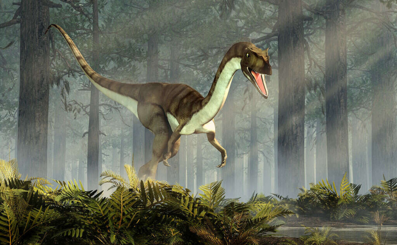  Dinozaver Coelophysis je Nova Mehika's state fossil