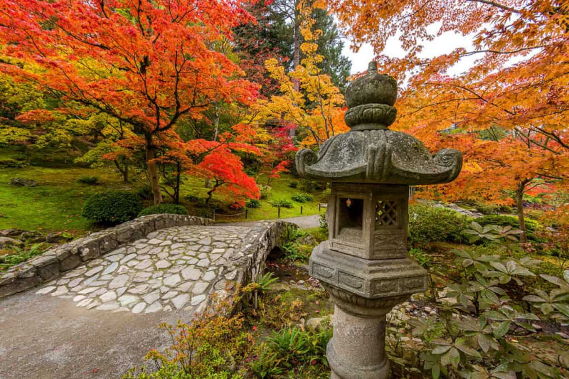   Seattle japonská záhrada, jesenné lístie