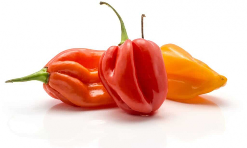   habanero pepers geïsoleerd