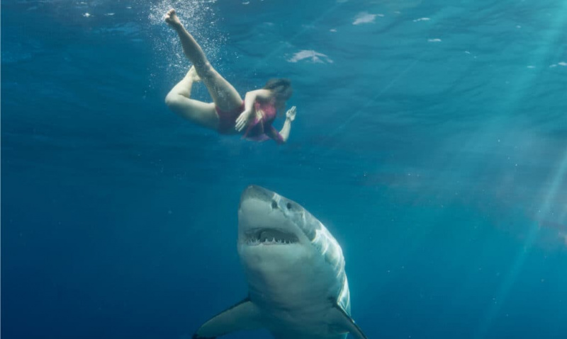   Naine põgeneb hai eest