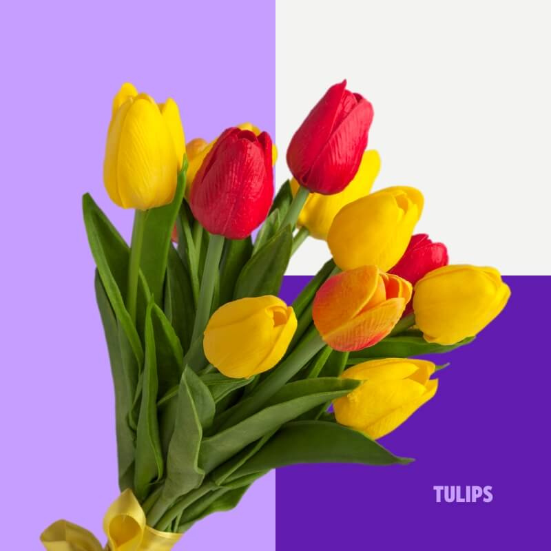   Tulpės